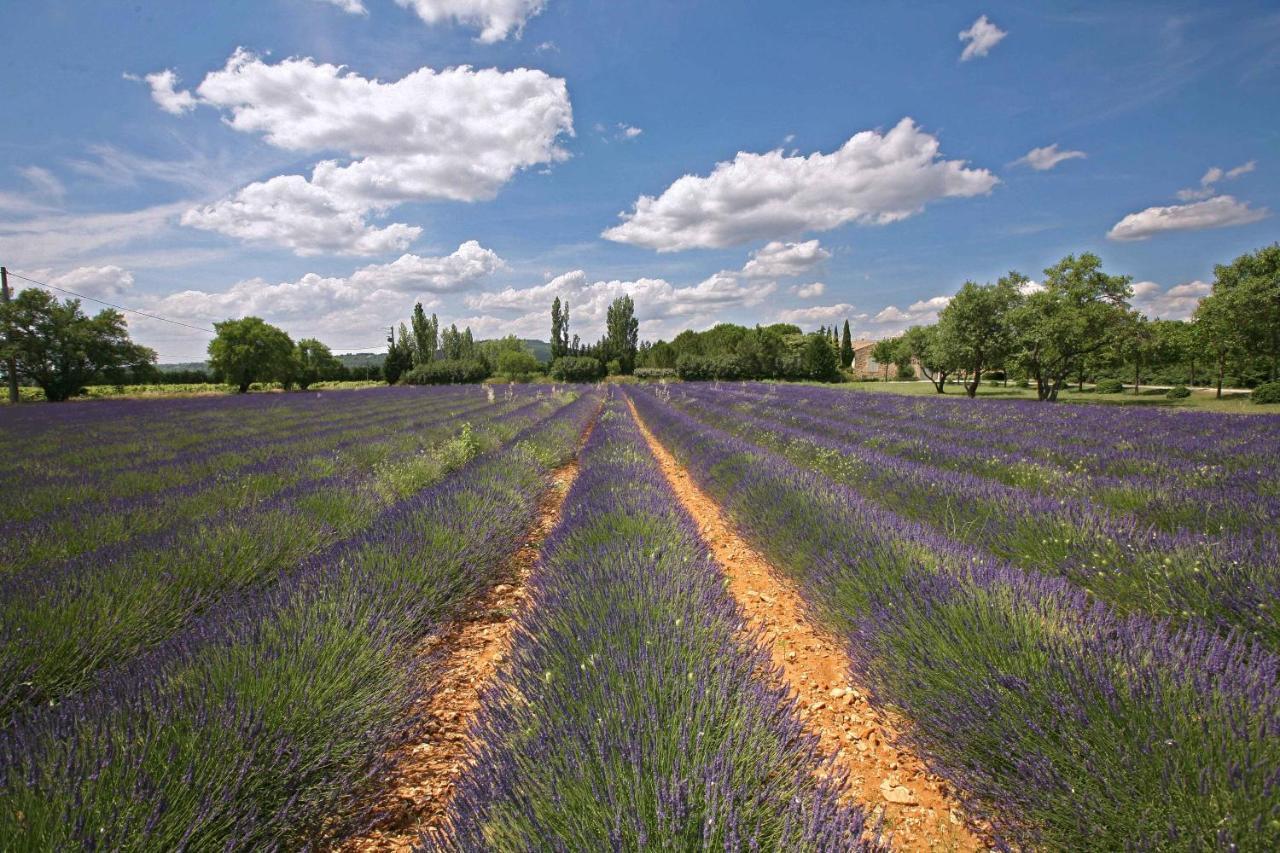B&B Dans Mas En Pierres Robion en Luberon ภายนอก รูปภาพ